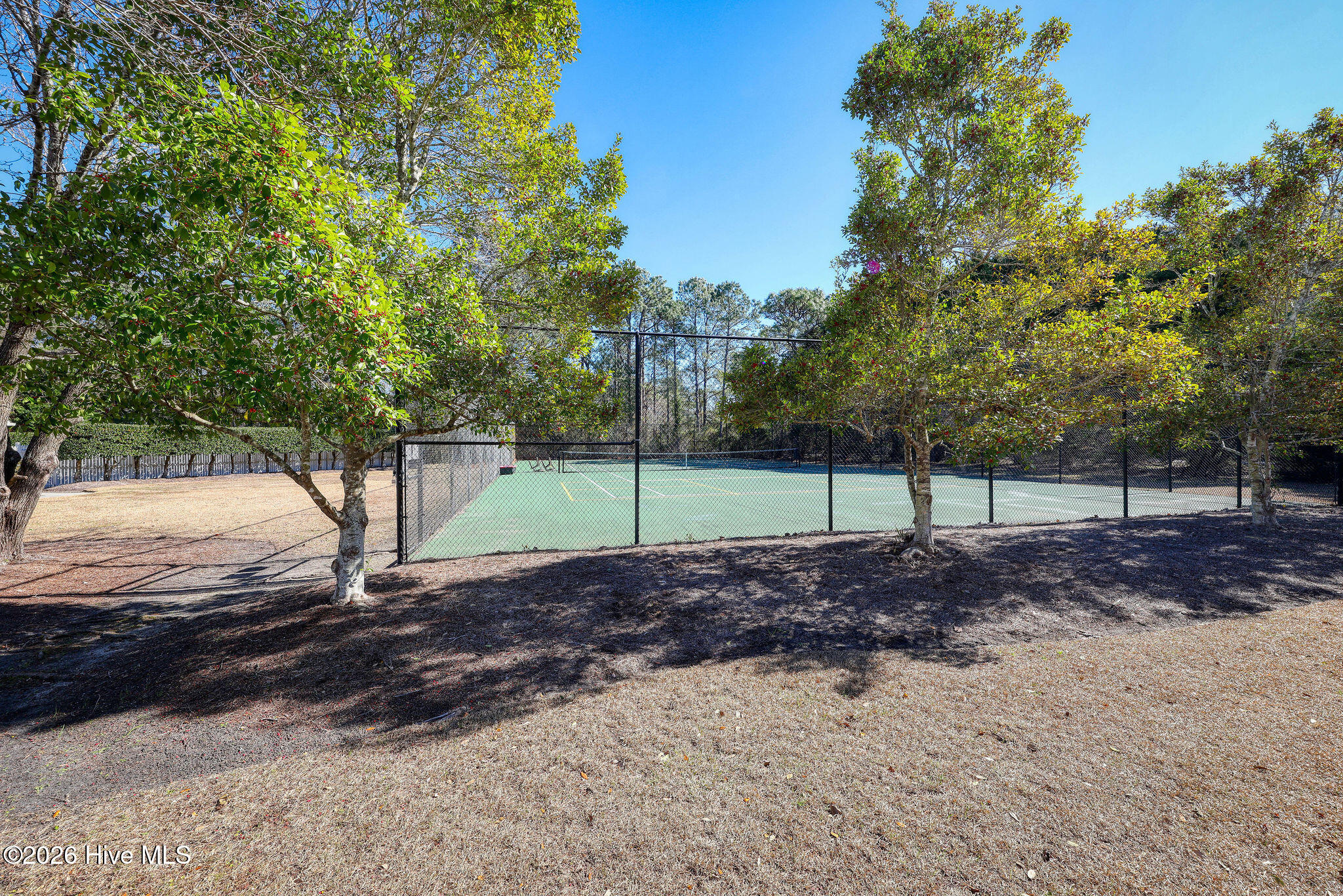 1008 Sabal Court