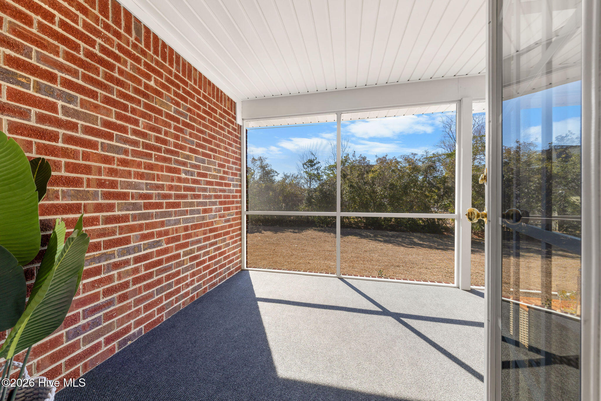 1008 Sabal Court