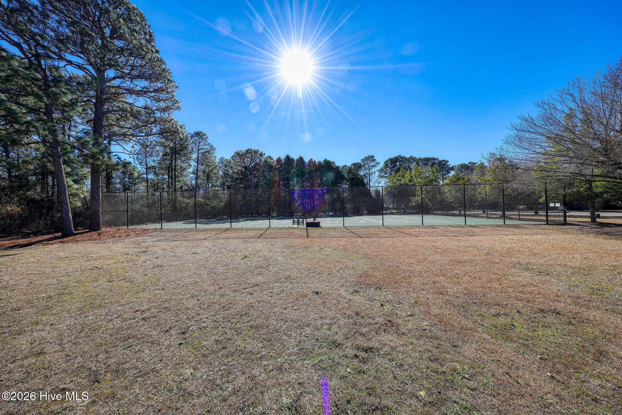 1008 Sabal Court