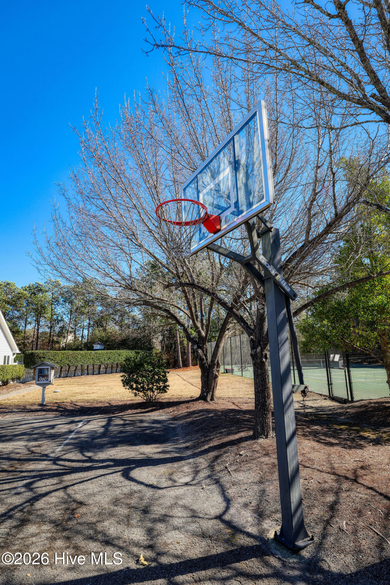 1008 Sabal Court