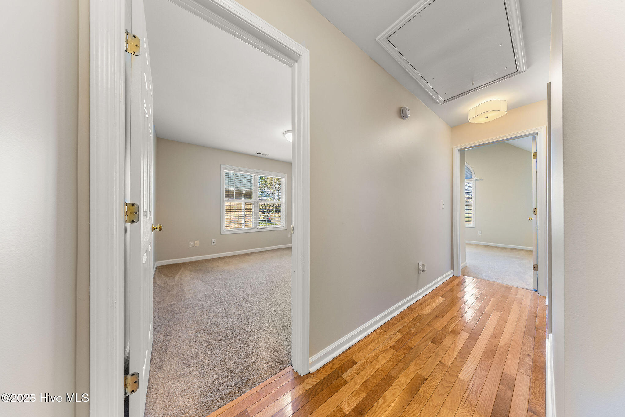 1008 Sabal Court