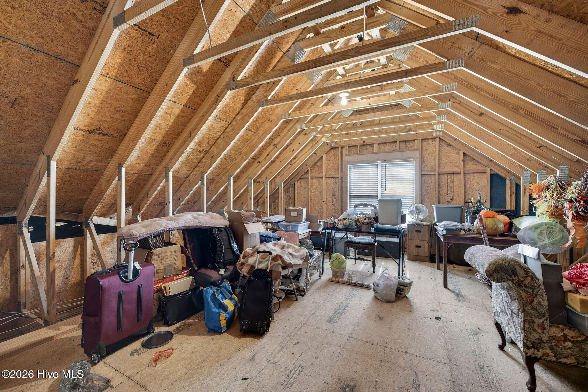 637 Jenoa Drive