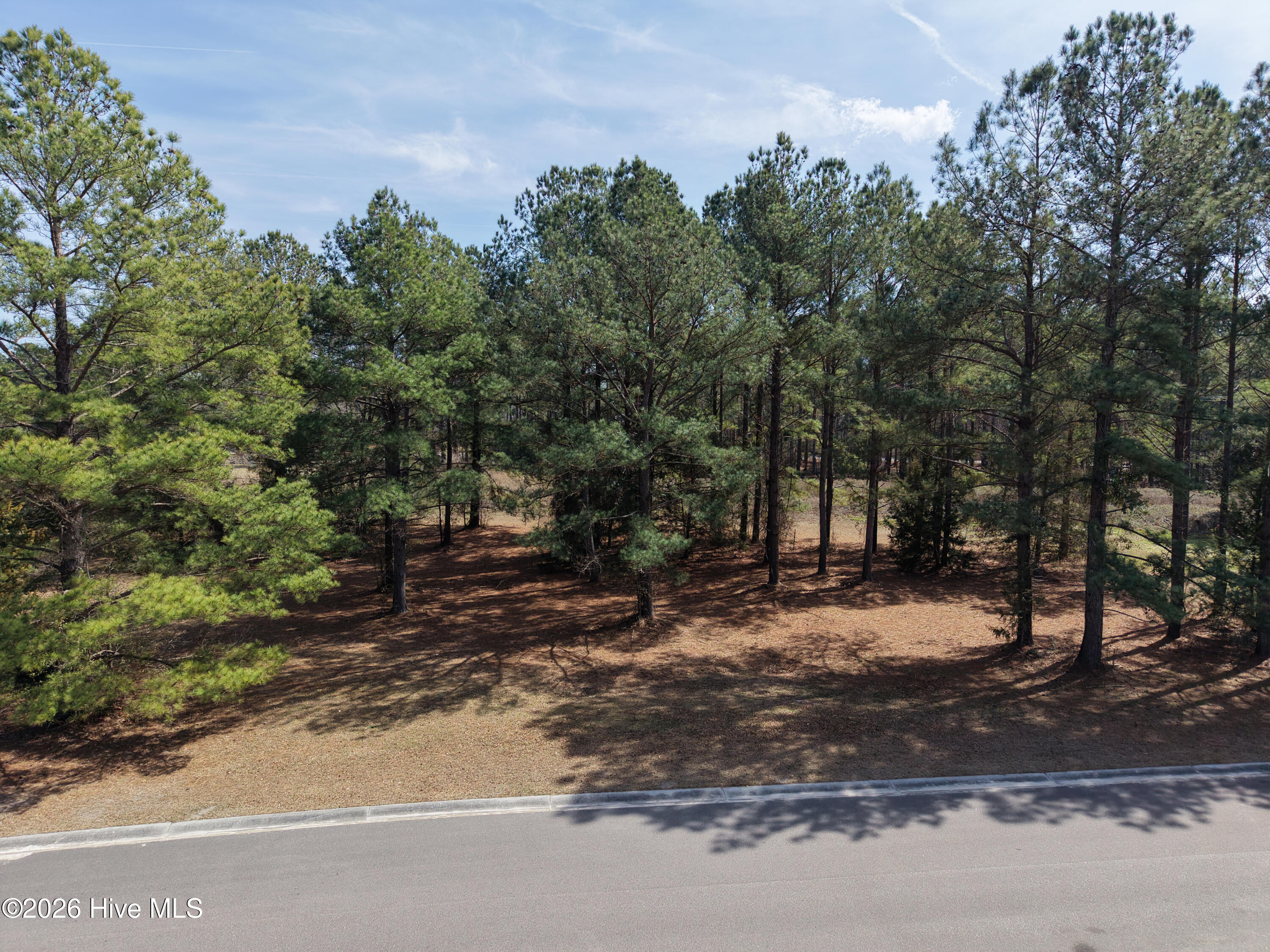 117 Cedar Point Drive