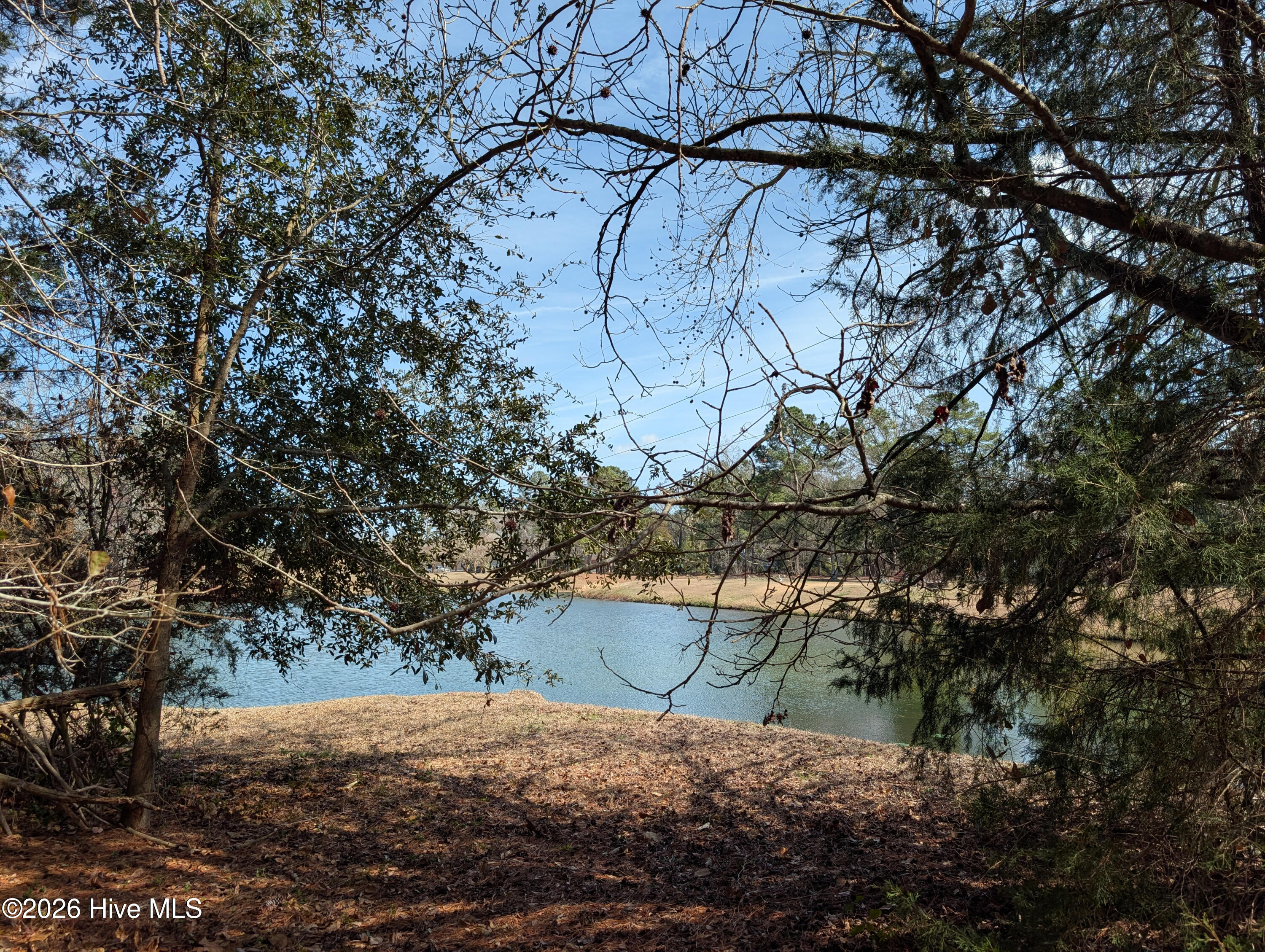 117 Cedar Point Drive
