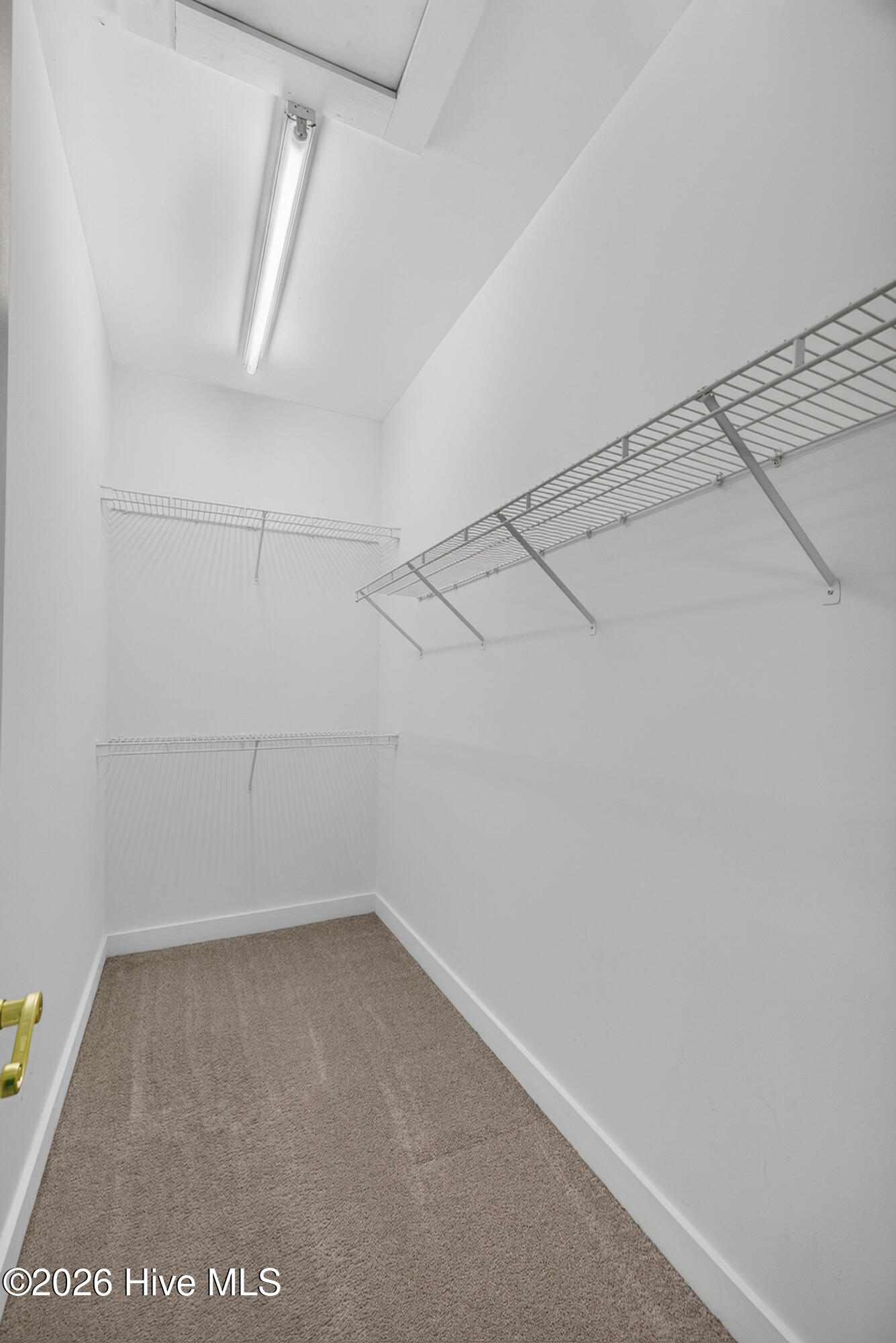 2320 Wrightsville Avenue Apt 231