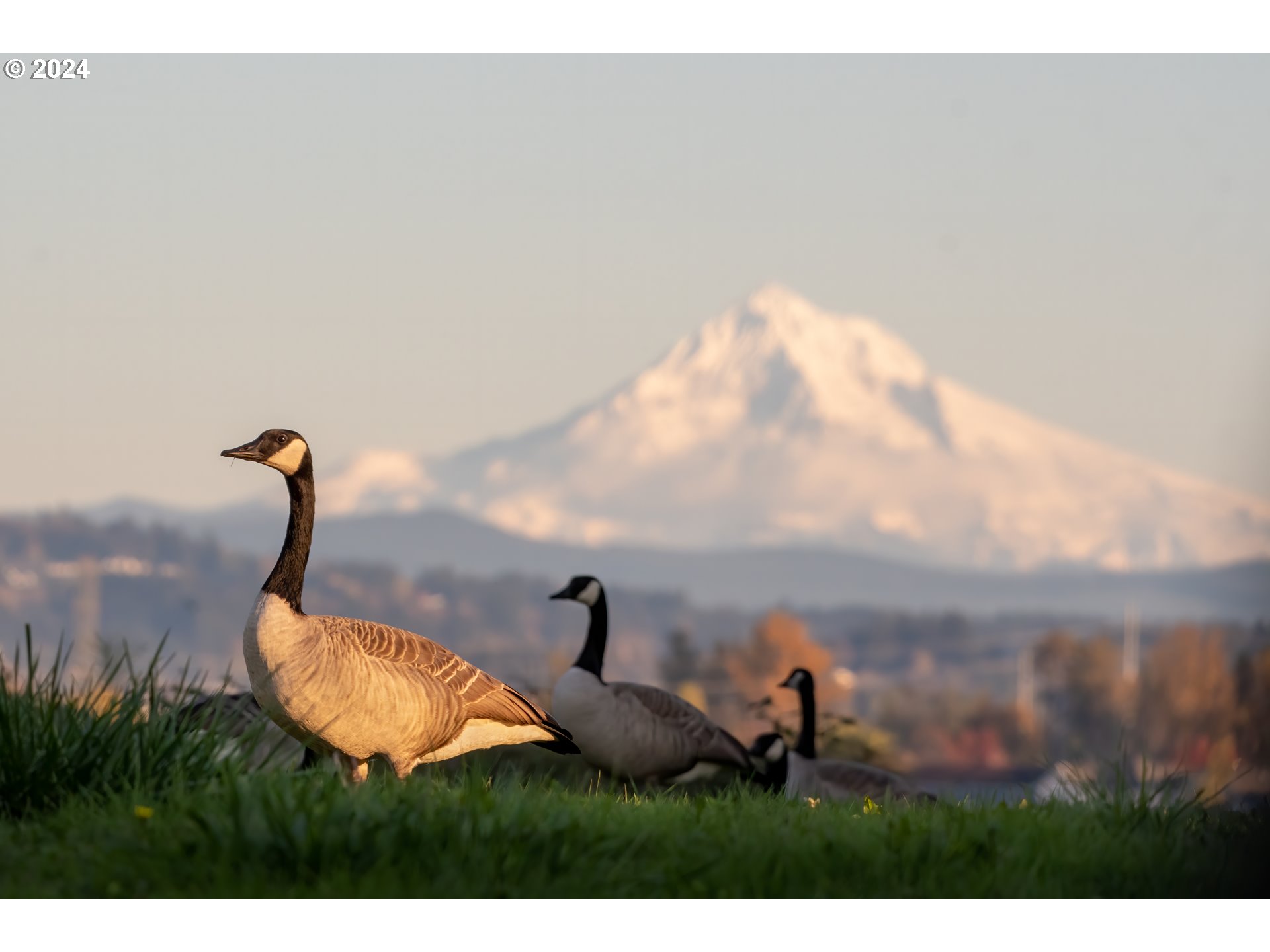 20160 NE INTERLACHEN LN