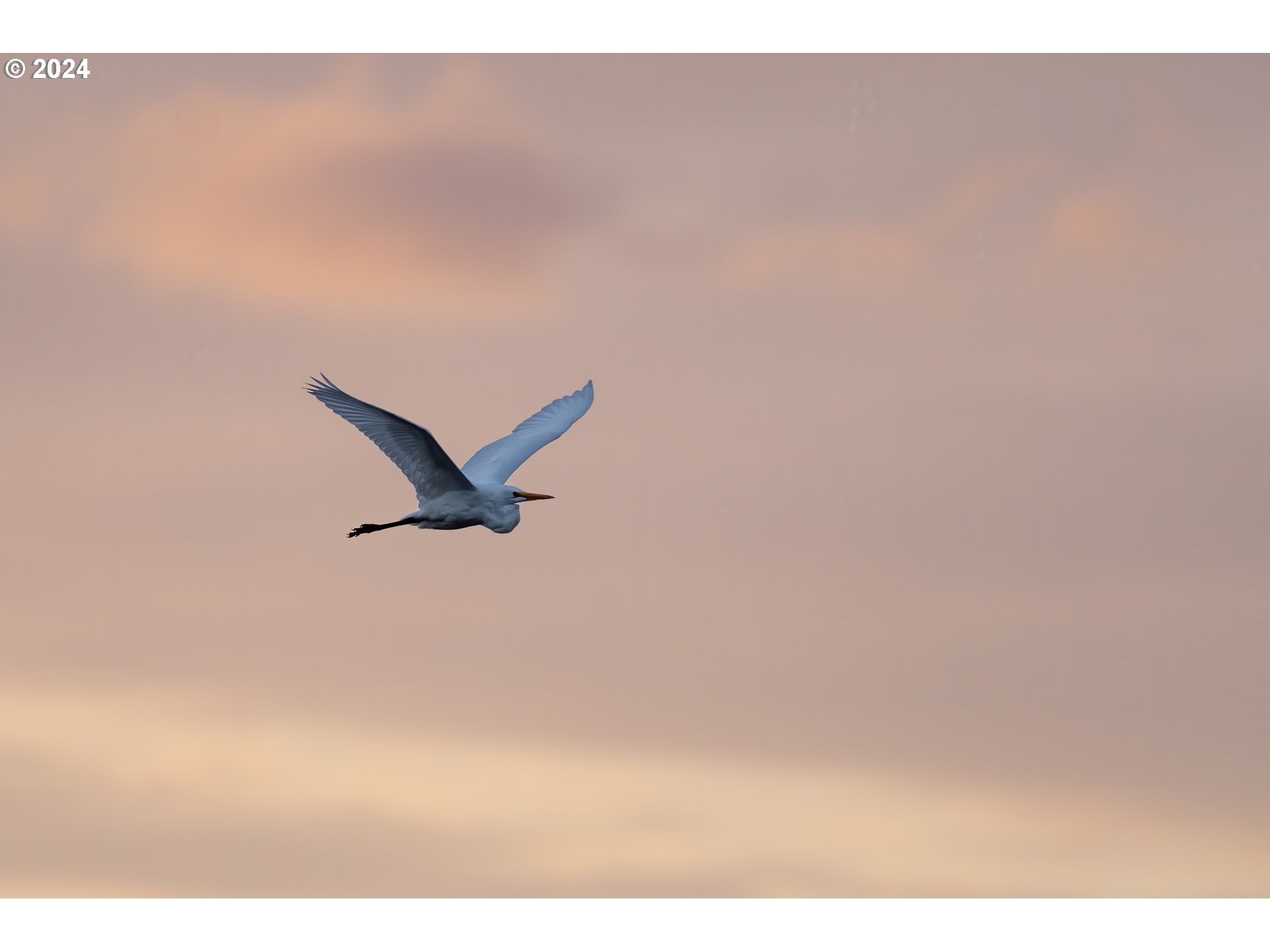 20160 NE INTERLACHEN LN