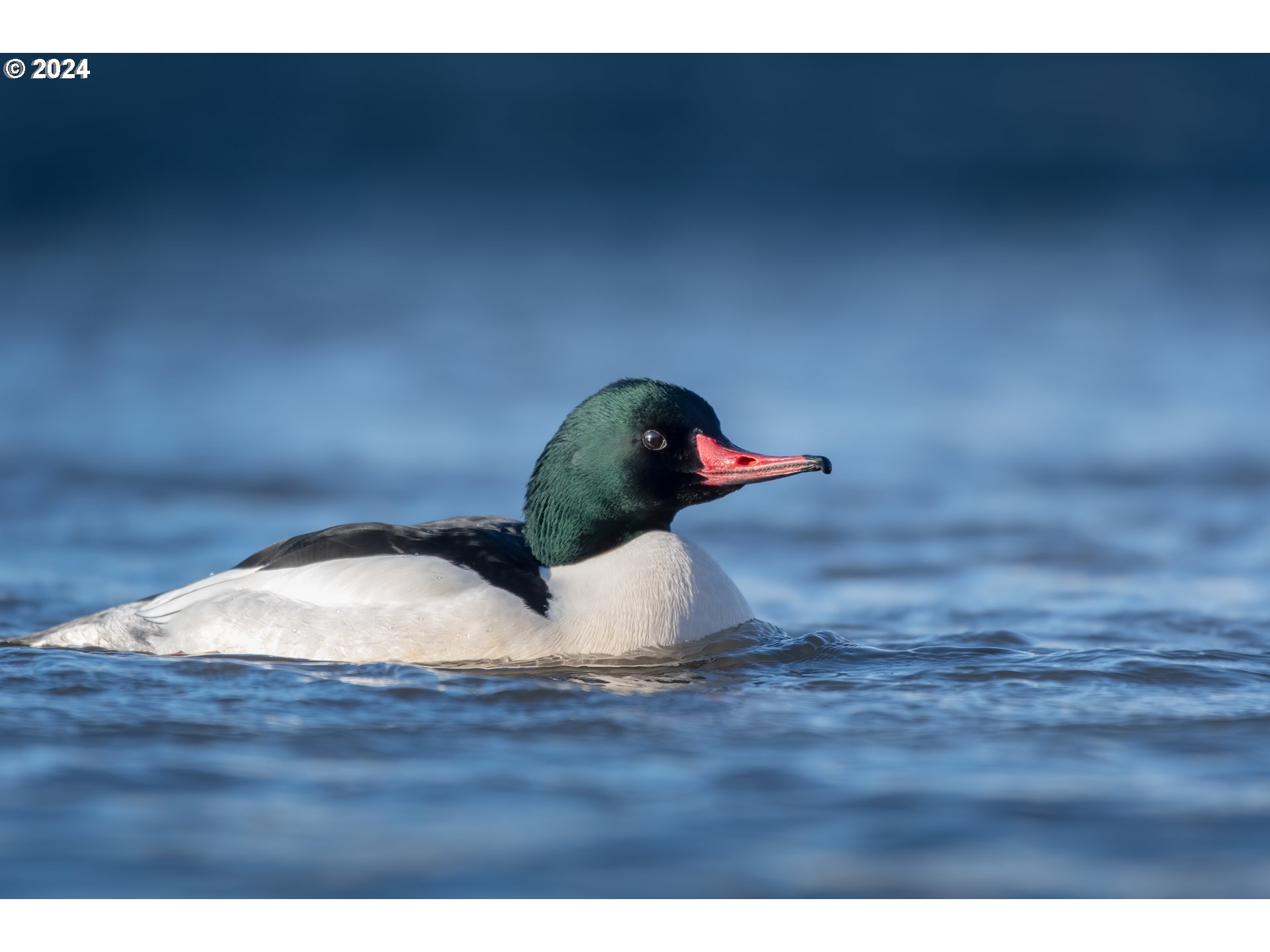 20160 NE INTERLACHEN LN