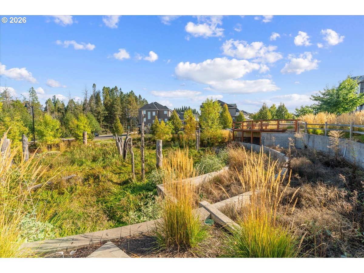 Landscaped natural area with tall grasses, planted beds, and a wooden footbridge beside nearby homes.