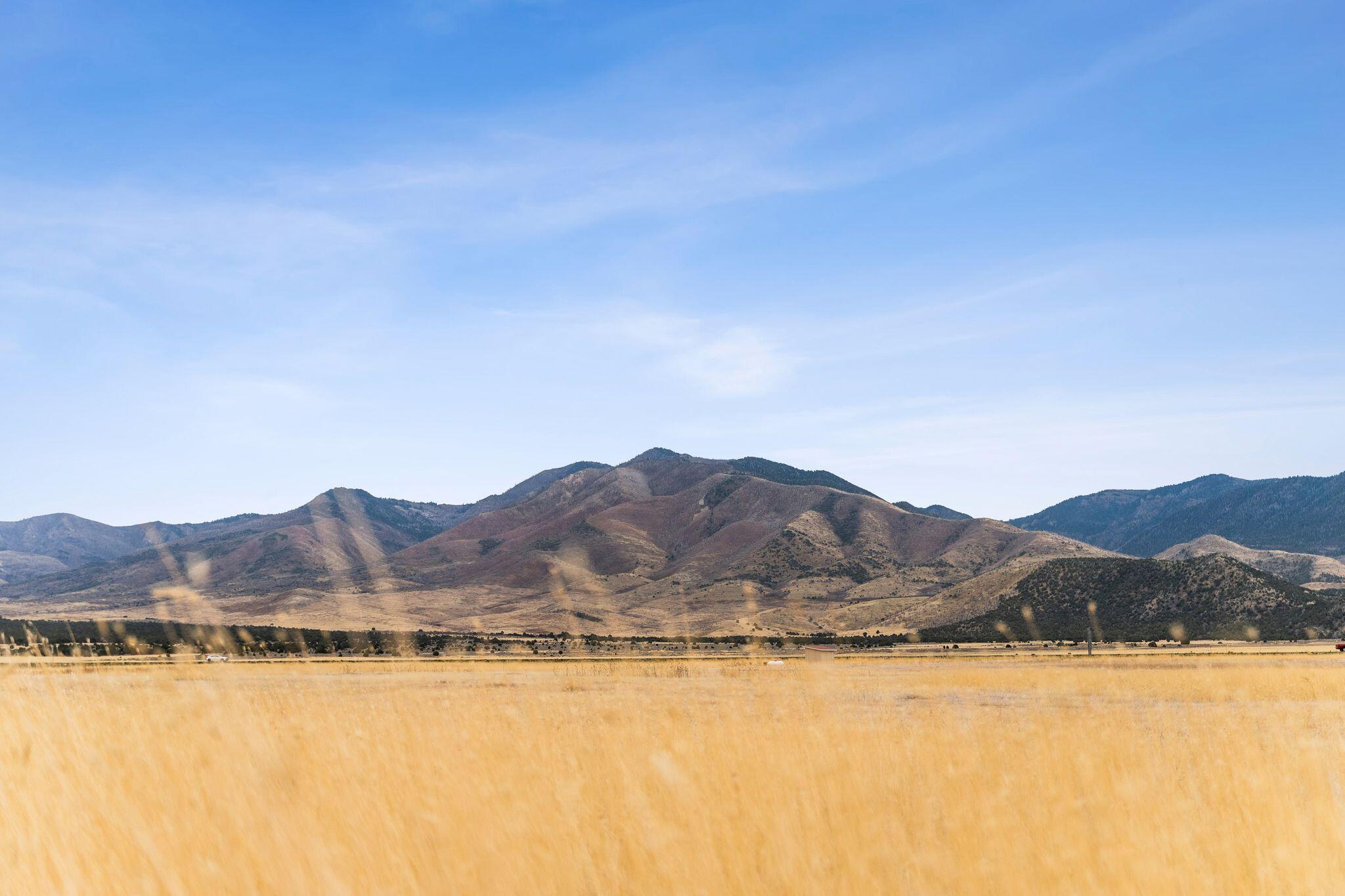 1565 W Sunflower Ln LN Unit: 3