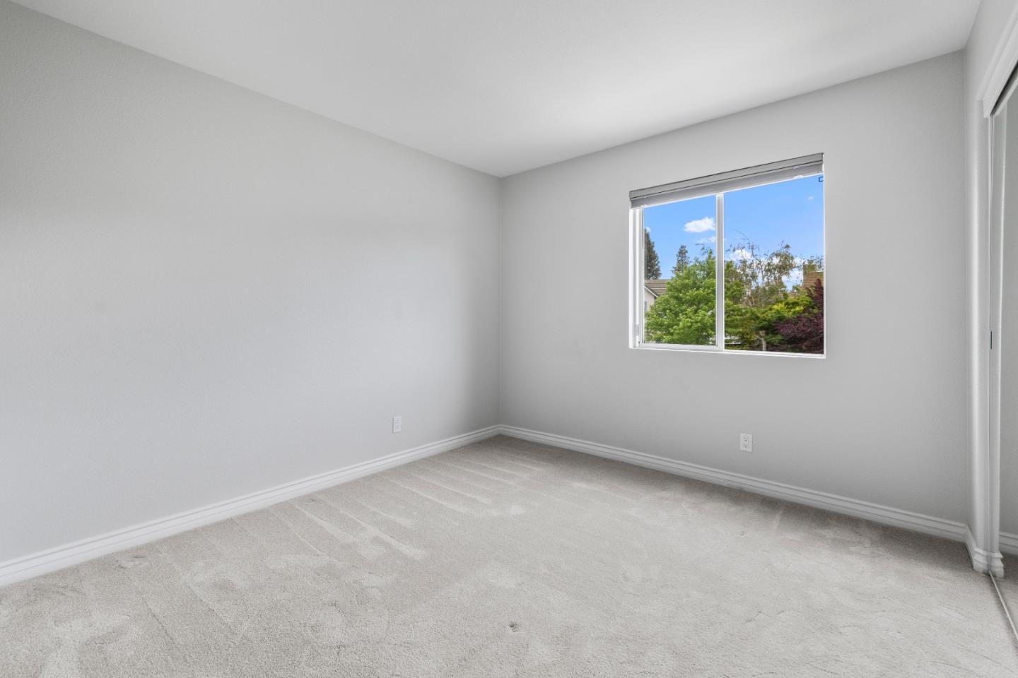 455 Canopy CT