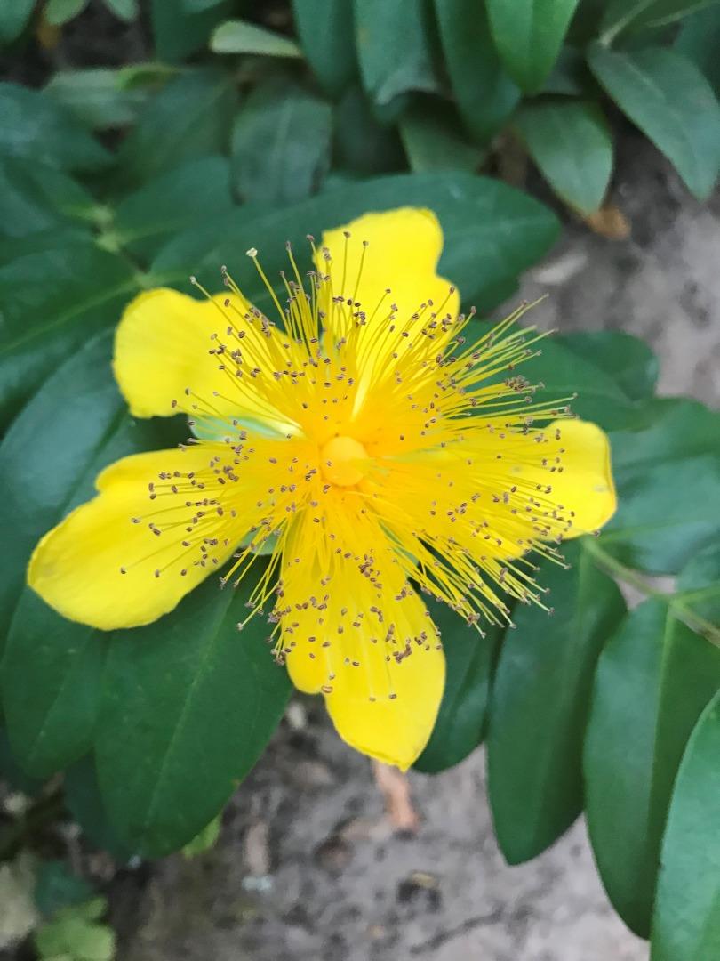 7185 Redwood Retreat Road