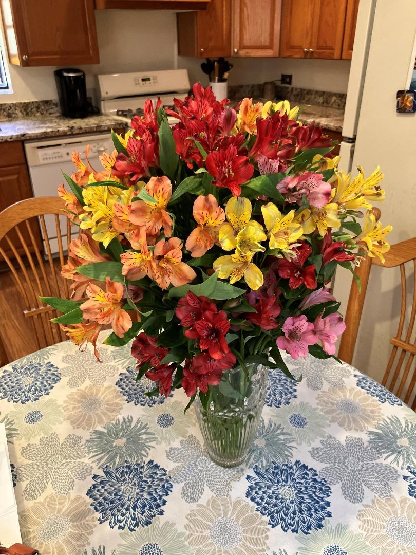 7185 Redwood Retreat Road