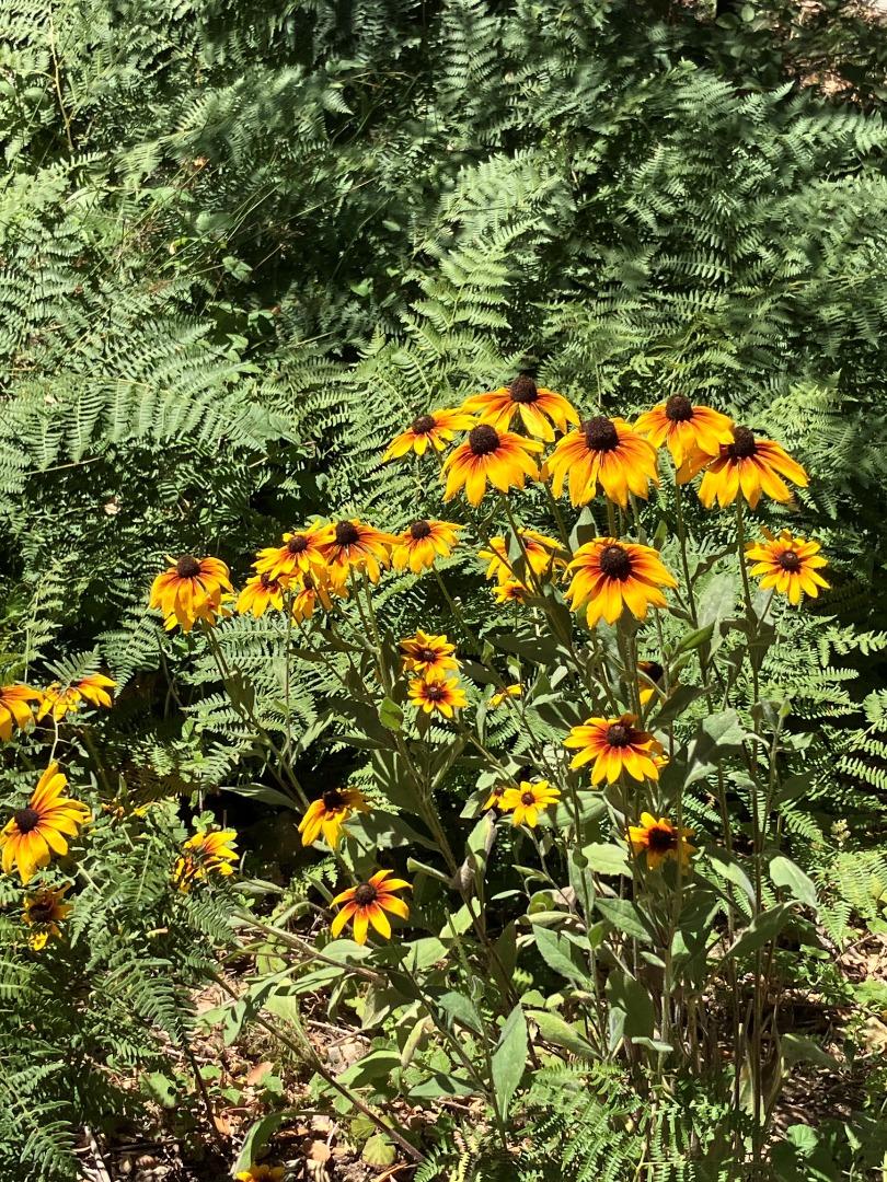 7185 Redwood Retreat Road