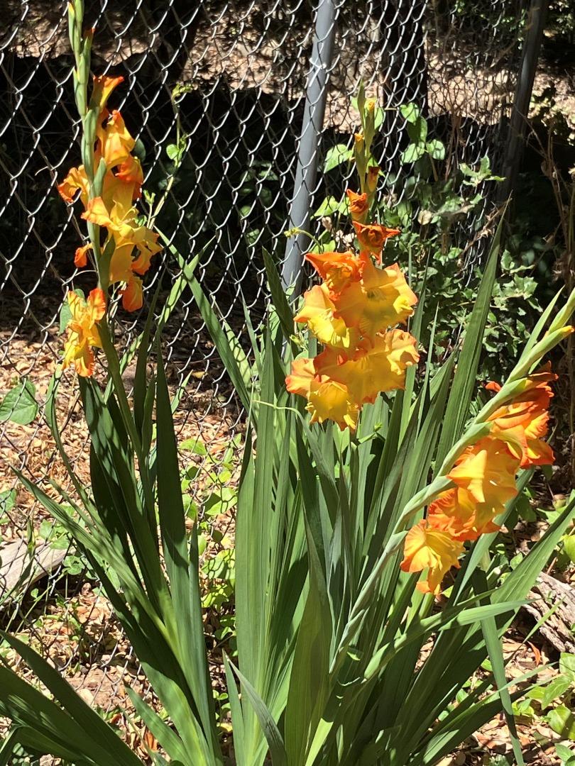 7185 Redwood Retreat Road