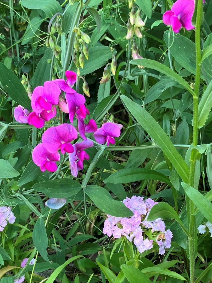 7185 Redwood Retreat Road