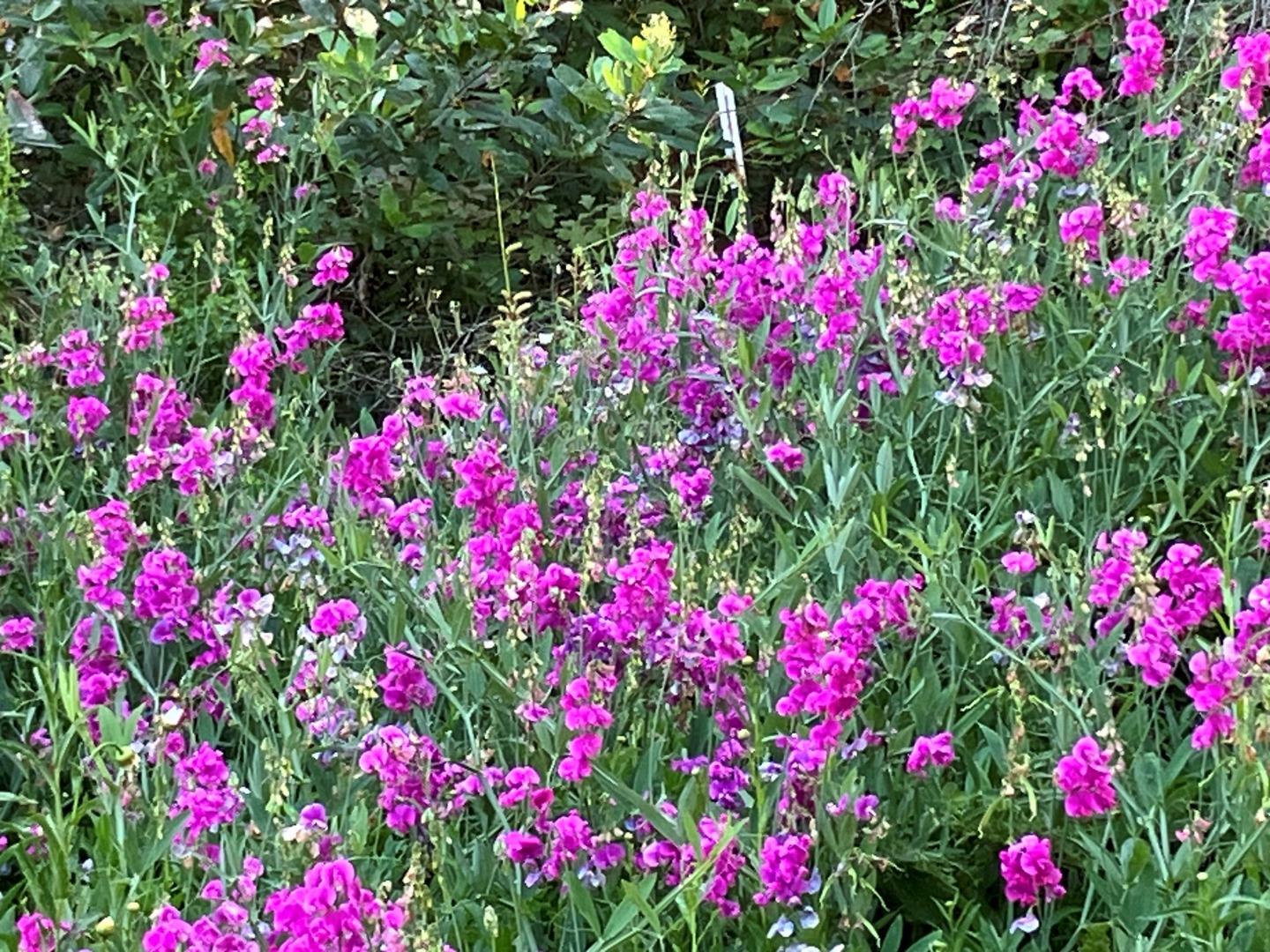 7185 Redwood Retreat Road