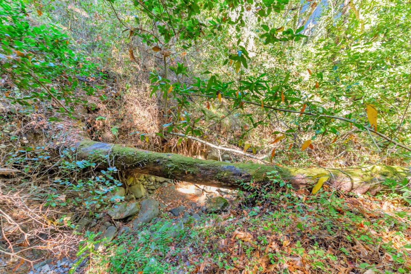 7185 Redwood Retreat Road