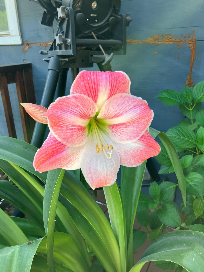 7185 Redwood Retreat Road