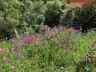 7185 Redwood Retreat Road