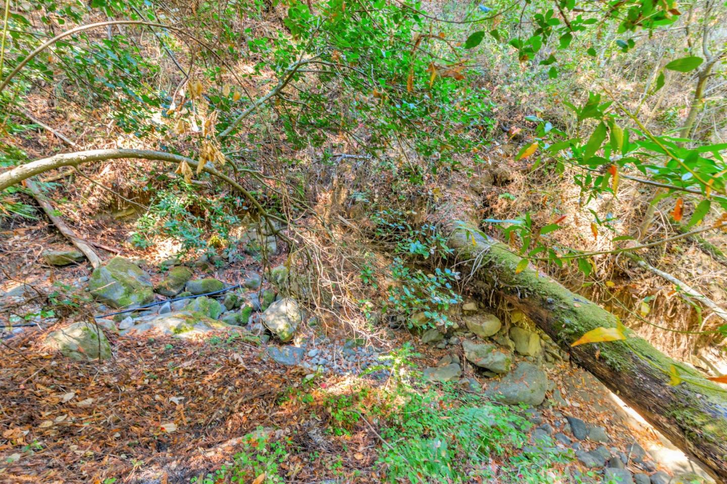 7185 Redwood Retreat Road