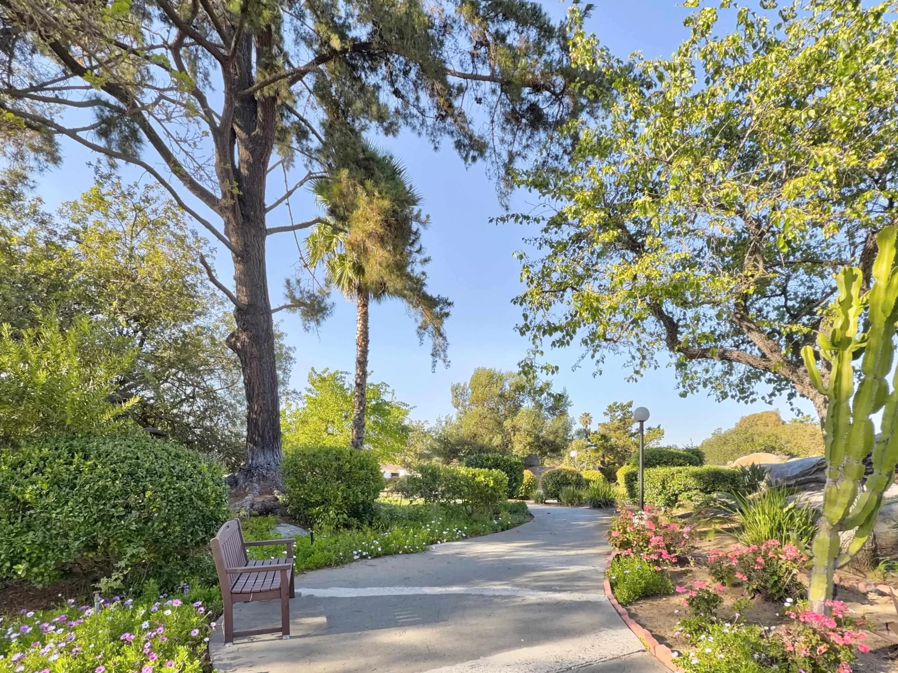 16566 Caminito Vecinos Unit 25