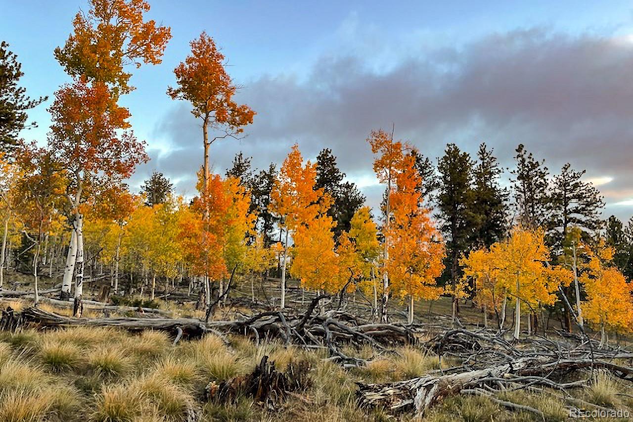 840 Wagon Wheel Road