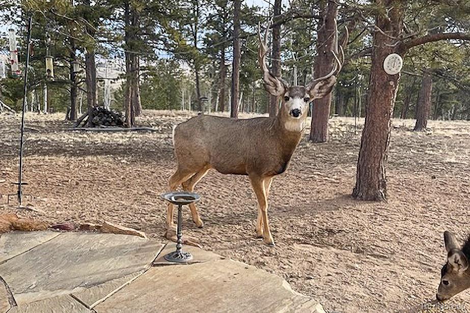 840 Wagon Wheel Road