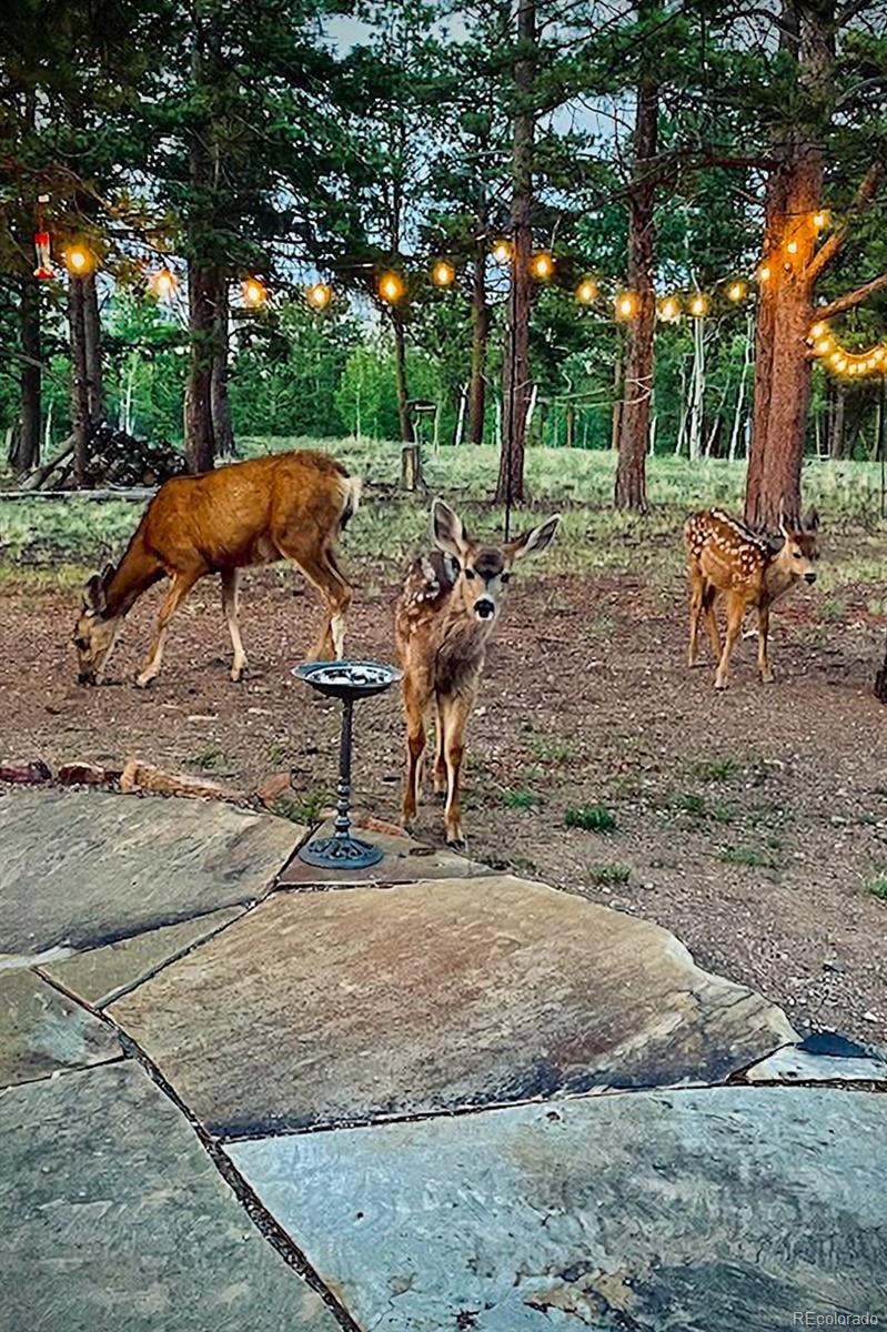 840 Wagon Wheel Road