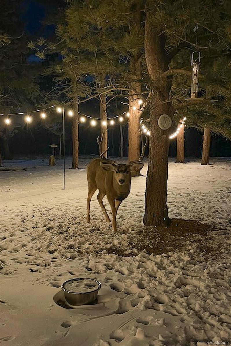 840 Wagon Wheel Road