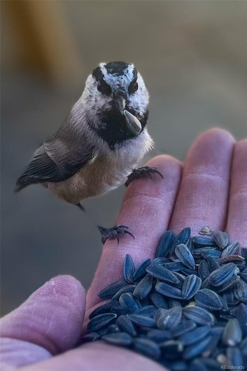 840 Wagon Wheel Road