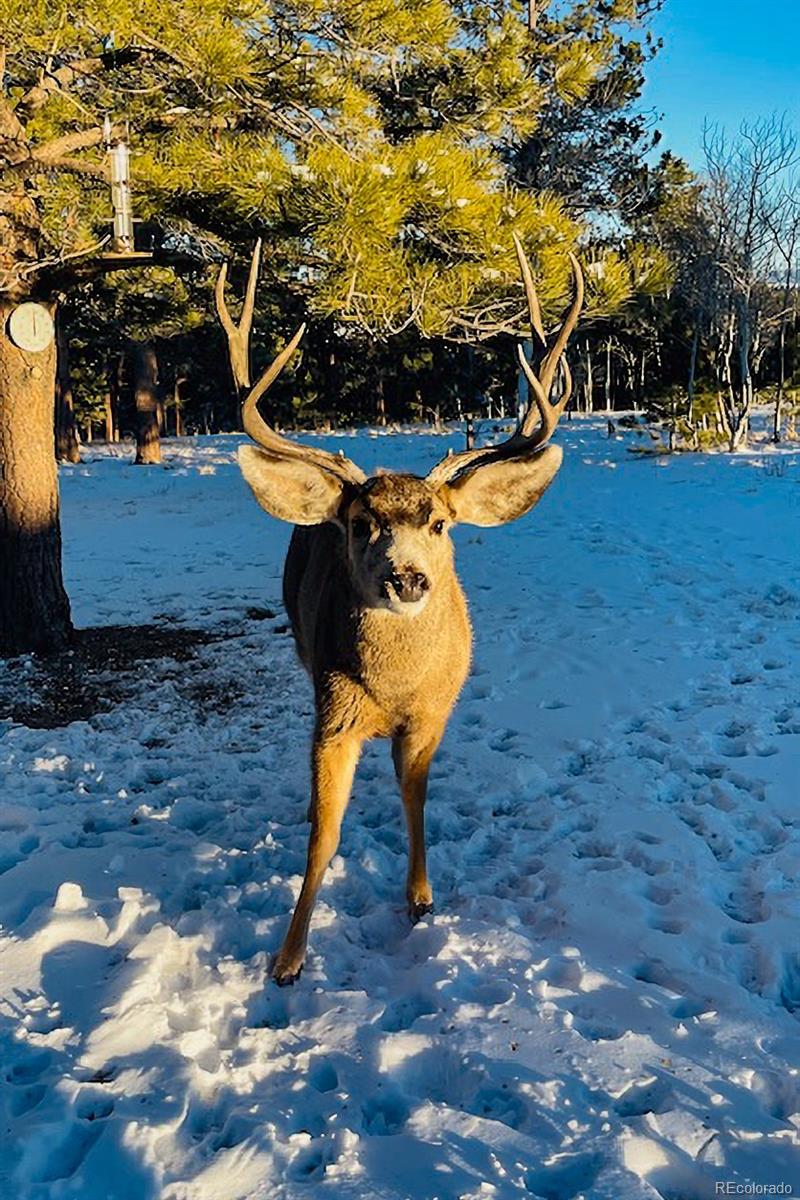 840 Wagon Wheel Road