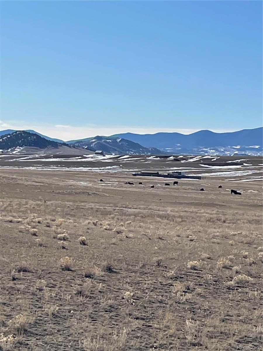 Open ranchland with cattle and scattered snow, backed by distant mountains.
