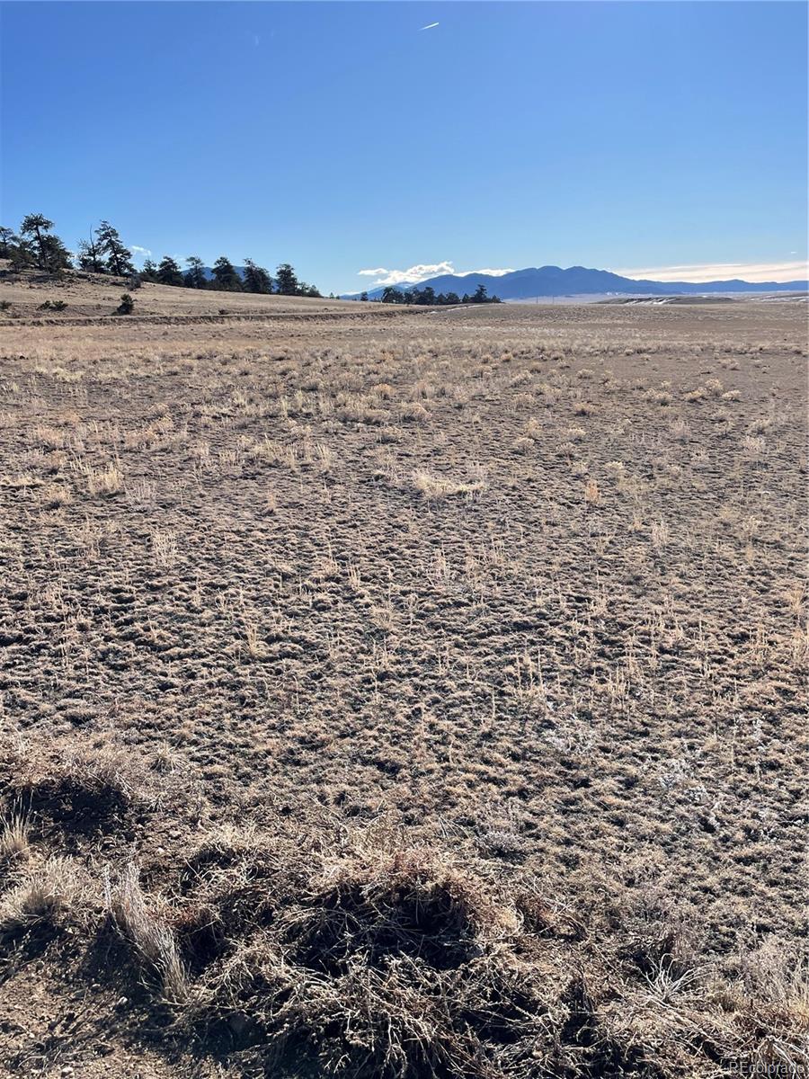 Open grassland property with distant mountain views and sparse trees along a low ridge.