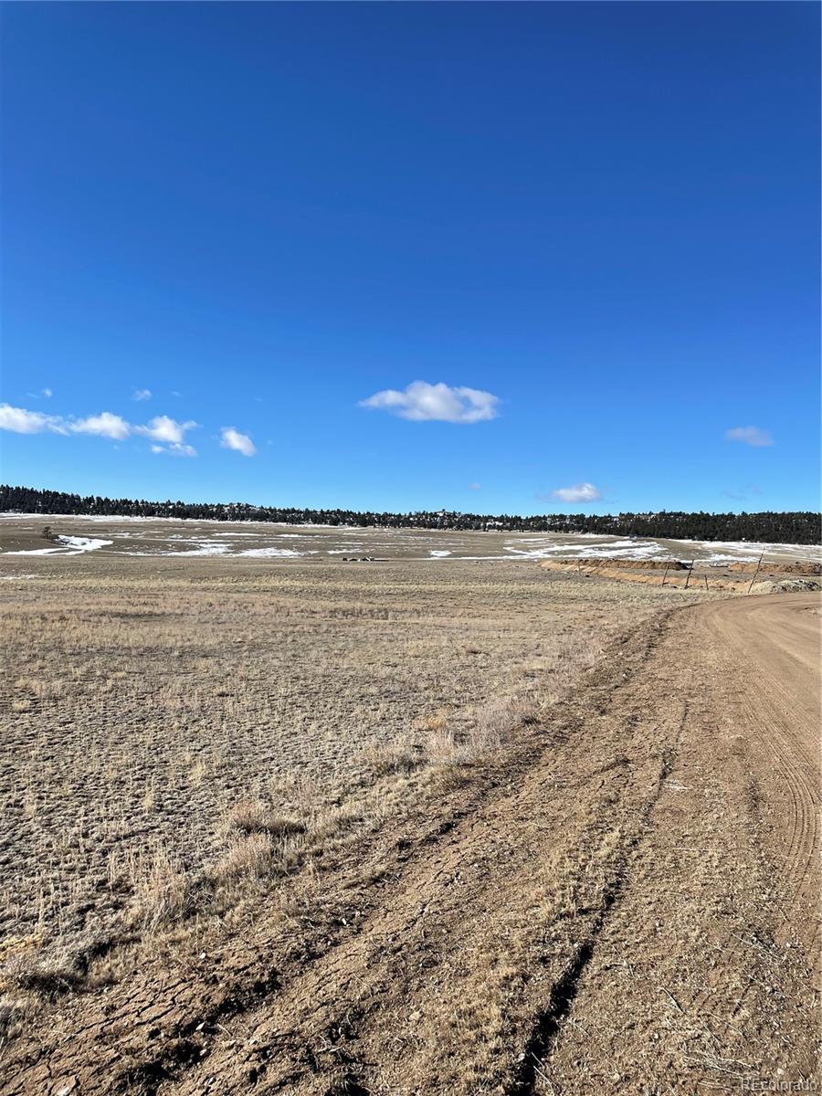 Open rural land with patchy snow, a dirt track, and a distant tree line.