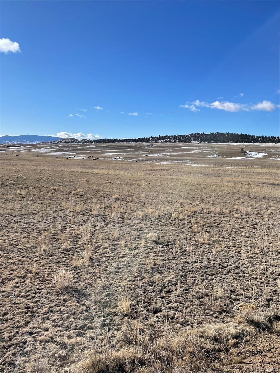 Open grassy land with scattered snow, a distant tree line, and mountains under a clear blue sky.
