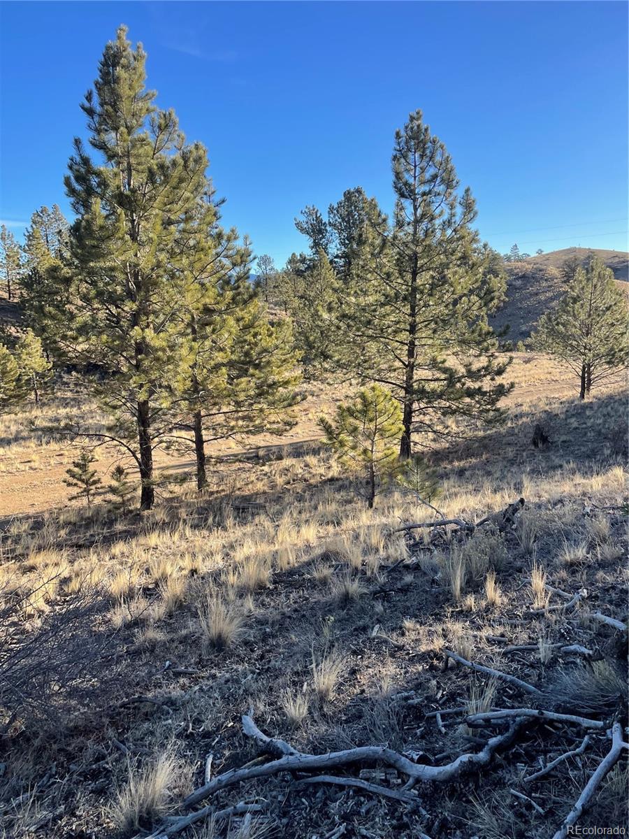 00 Tarryall Road Hartsel Co Us 80449 Rec3647367