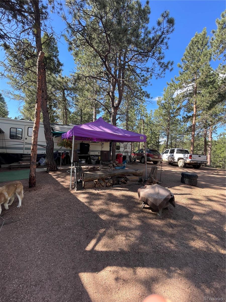 464 Saddleback Creek Drive