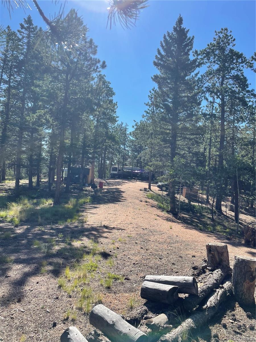 464 Saddleback Creek Drive