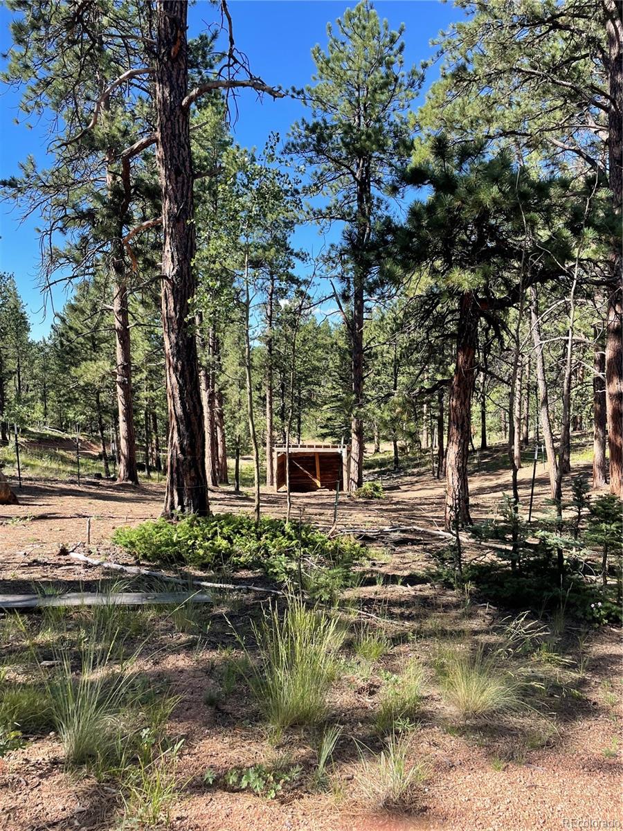 464 Saddleback Creek Drive