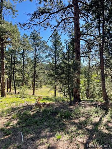 464 Saddleback Creek Drive