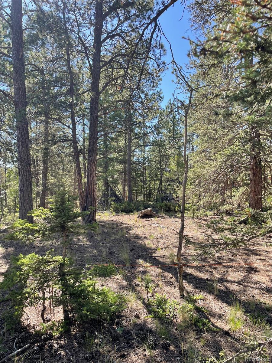 464 Saddleback Creek Drive