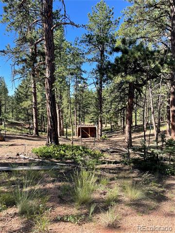 464 Saddleback Creek Drive