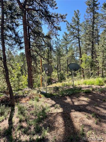 464 Saddleback Creek Drive