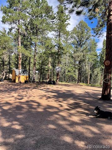 464 Saddleback Creek Drive