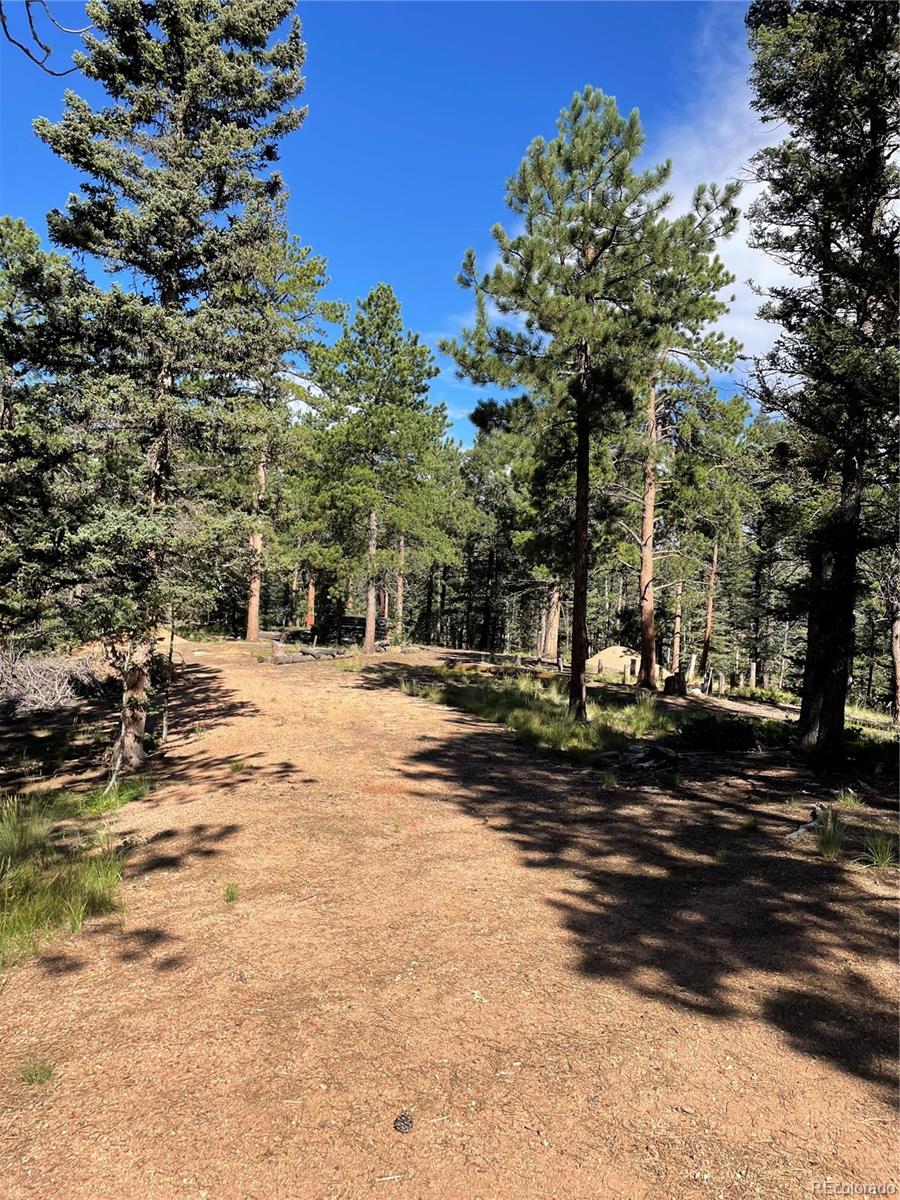 464 Saddleback Creek Drive