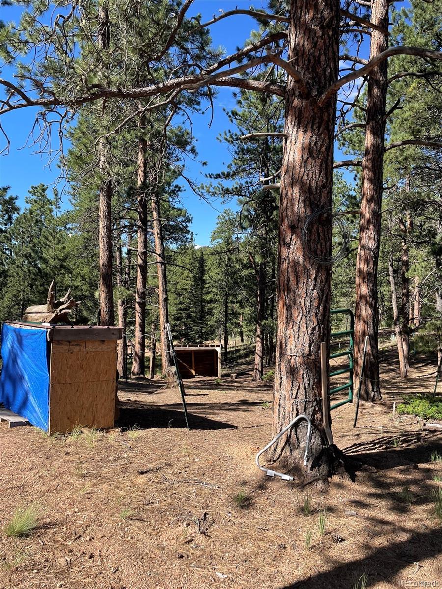 464 Saddleback Creek Drive