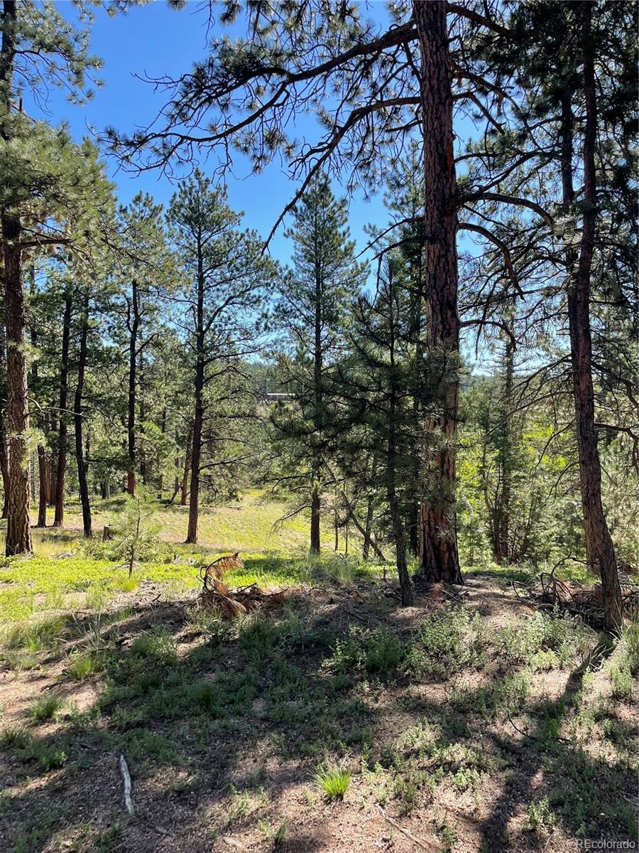 464 Saddleback Creek Drive