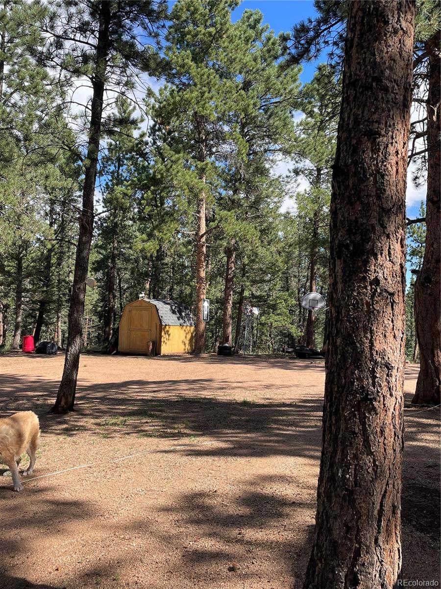 464 Saddleback Creek Drive