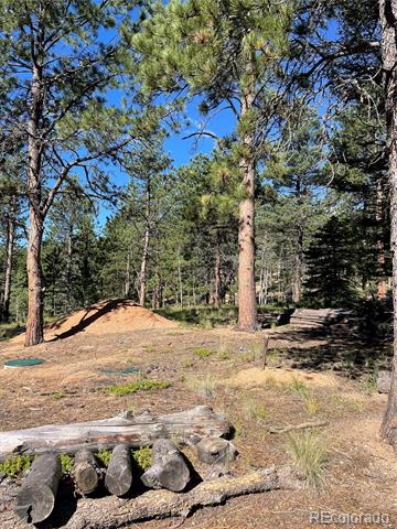 464 Saddleback Creek Drive